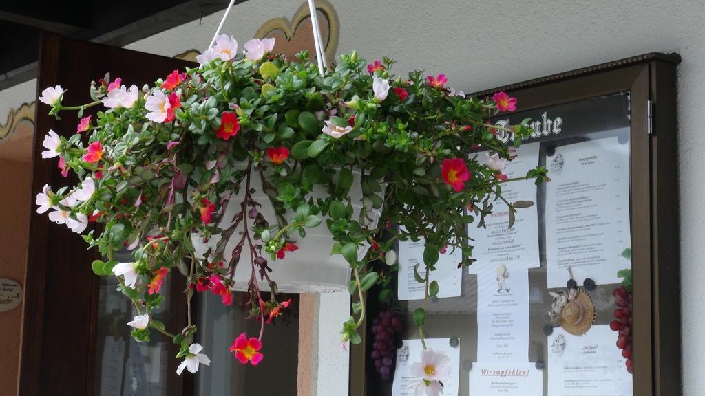 Hotel Traube Sankt Gallenkirch Dış mekan fotoğraf